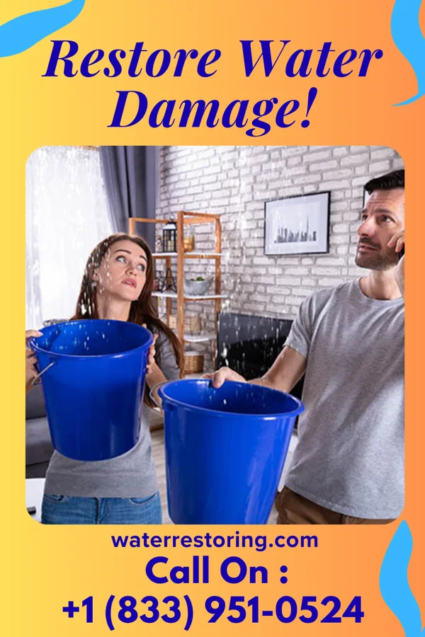 water restoration Trusted Water Restoration Inc Byram