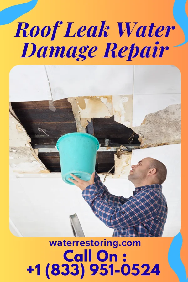 Roof Leak Water Damage Repair in Byram, MS